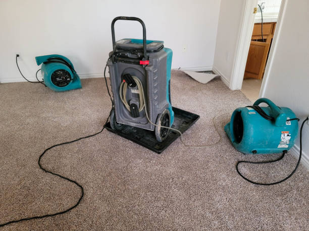 Best Commercial water damage restoration  in Berlin, WI