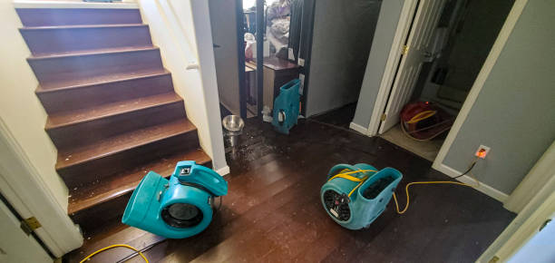 Best Water damage restoration near me  in Berlin, WI