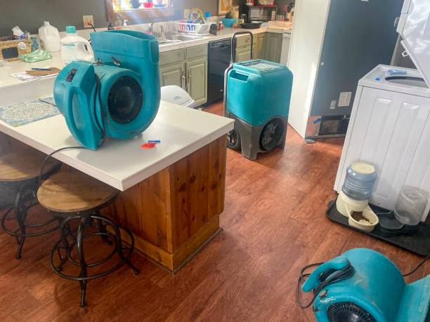 Best Local water damage restoration  in Berlin, WI