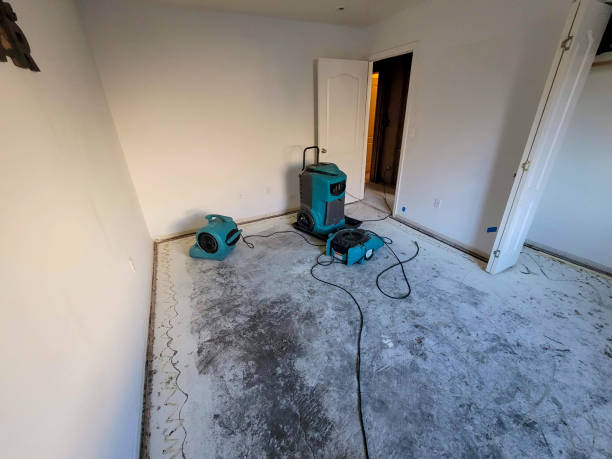 Best Professional water damage repair  in Berlin, WI