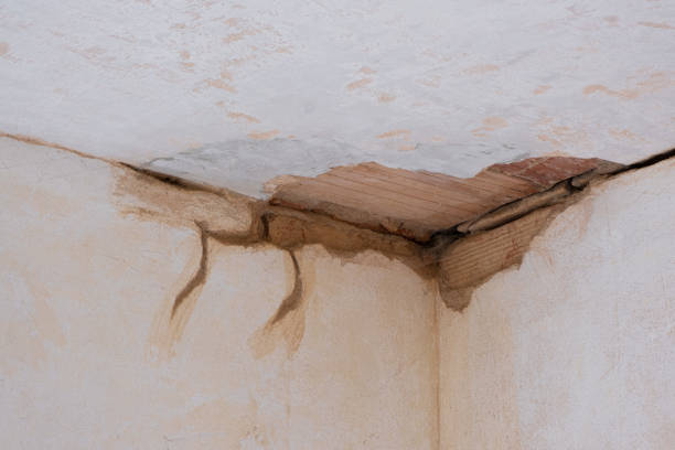 Best Mold removal after water damage  in Berlin, WI