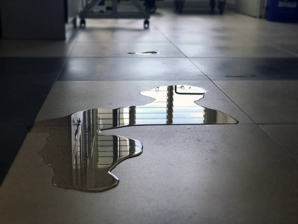 Best 24/7 water damage repair  in Berlin, WI