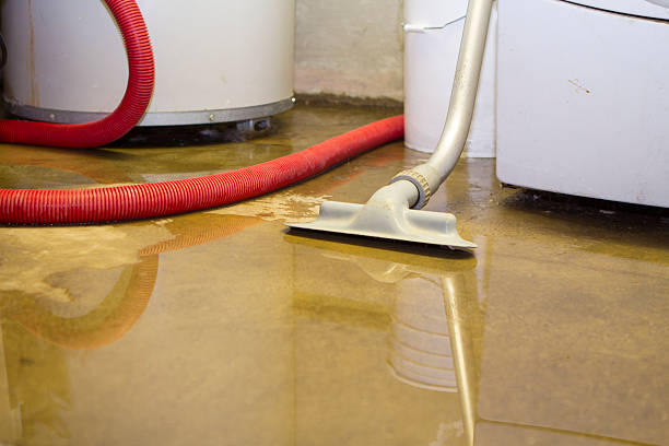 Best Carpet water damage restoration  in Berlin, WI