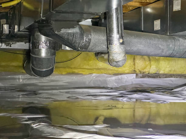 Best Water damage cleanup near me  in Berlin, WI
