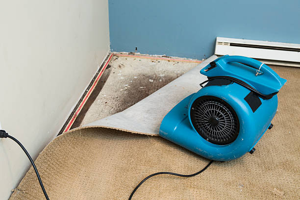 Best 24-hour water damage restoration  in Berlin, WI